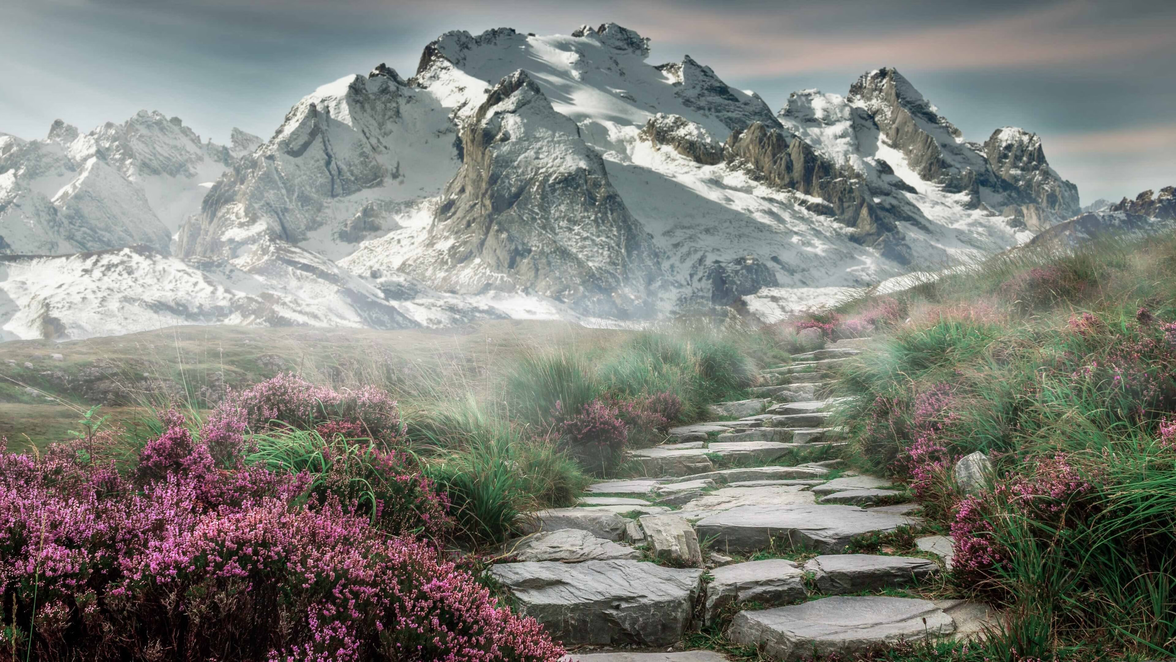 开云esports-_场馆升级：引入先进设备，提升比赛体验_，先进场面引导控制系统