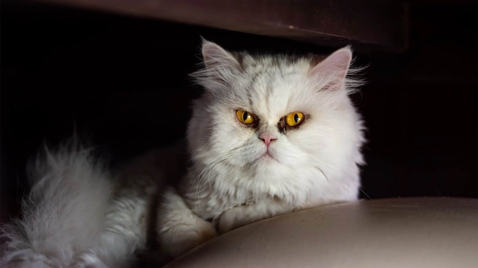 开云esport-_极限漂流：在巨浪中寻求刺激_，极限漂流哪里好玩