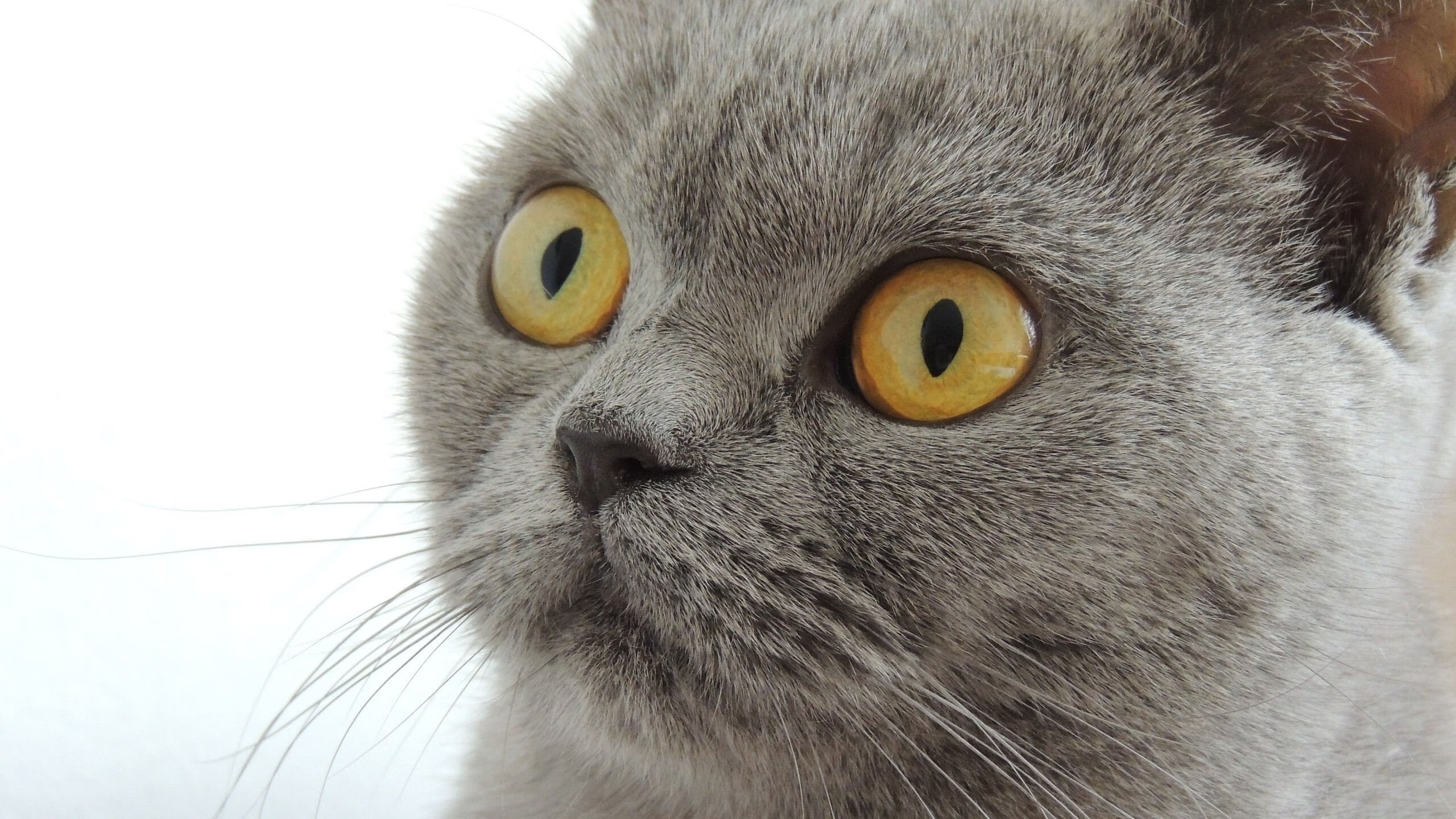 开yun官网-_网球旅游：旅游+运动的新体验_，网球娱乐活动