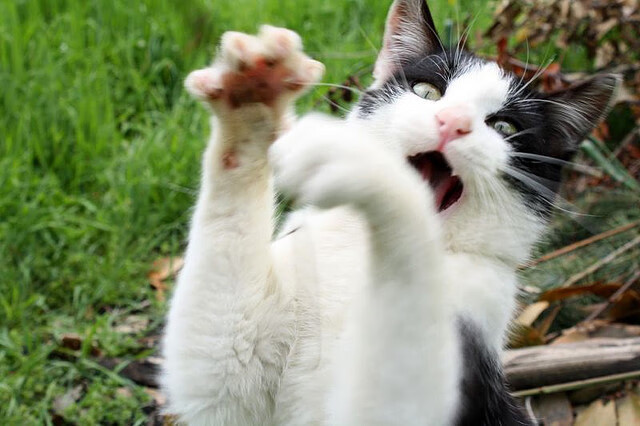 开云体育在线入口-《新兴游戏类型爆发：卡牌、模拟、休闲成电竞新宠》，新型的游戏