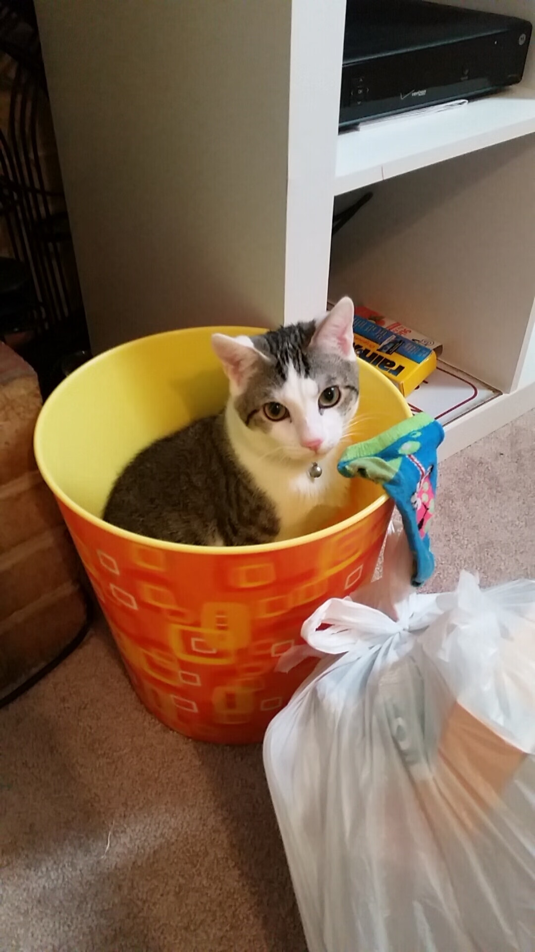 Kaiyun官方登录入口-中超联赛最终积分公布，争冠悬念依旧，中超联赛积分排名规则