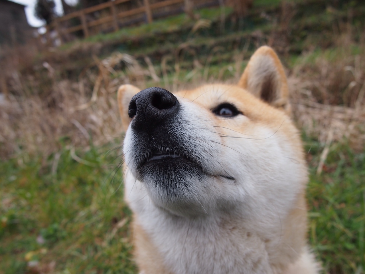 开云官网在线-史上最精彩“冠军夜”回顾，荣耀永不褪色！，王者荣耀冠军之夜是什么时候